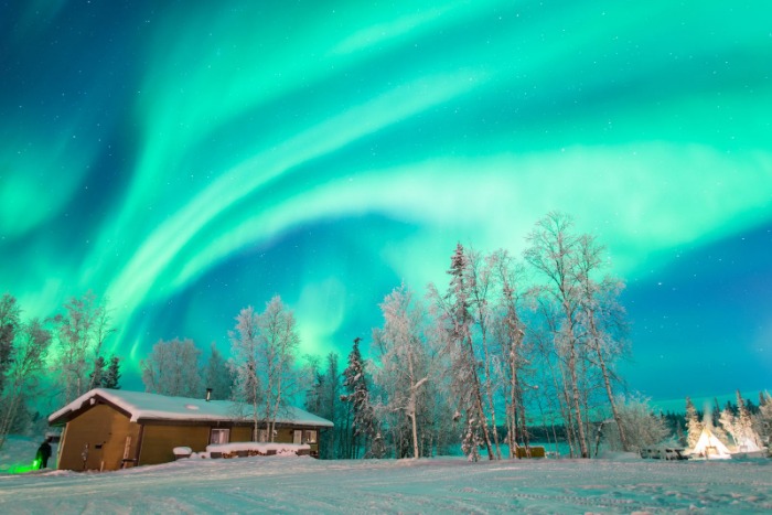 博格巴热切,期待,罗加盟,世界杯直播,2026世界杯,实时赛事,观看指南,直播链接