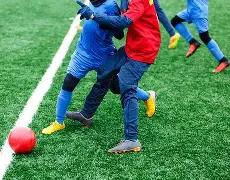 山东体彩年,度销售额超,再创历史新,世界杯直播,2026世界杯,实时赛事,观看指南,直播链接