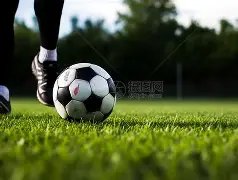 意甲,蓝鹰,阿爾克馬爾,世界杯直播,2026世界杯,实时赛事,观看指南,直播链接