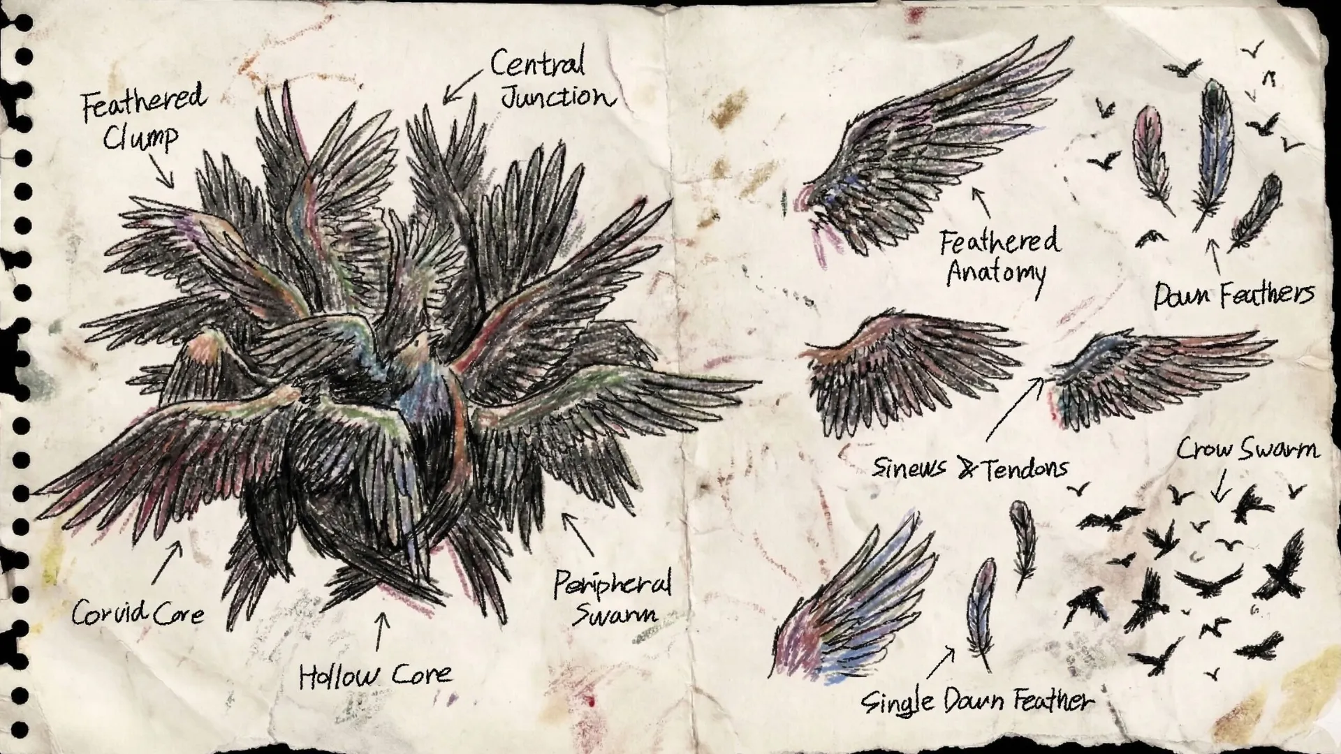 维尔茨幸免,遇难,哈曼强调球,世界杯直播,2026世界杯,实时赛事,观看指南,直播链接