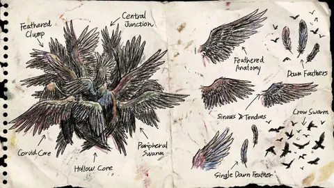 维尔茨幸免遇难，哈曼强调球员健康安全至关重要